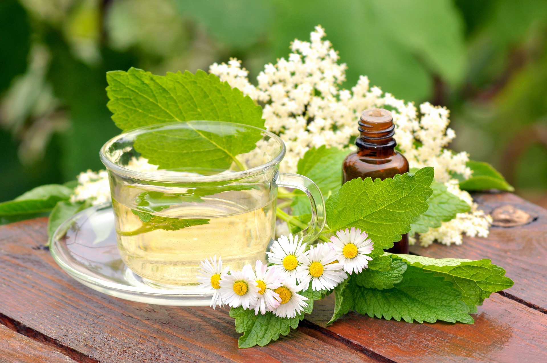 Chamomile, lemon balm and elderberry herbal tea in a glass cup, with essential oil in a bottle